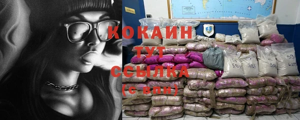 прущие крисы Кулебаки