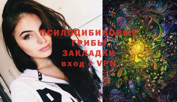 прущие крисы Кулебаки