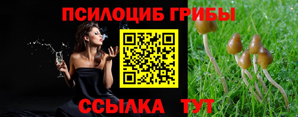 Галлюциногенные грибы GOLDEN TEACHER Балабаново