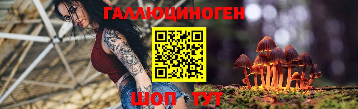 Галлюциногенные грибы Psilocybe  Псилоцибиновые грибы MAGIC MUSHROOMS  Балабаново 